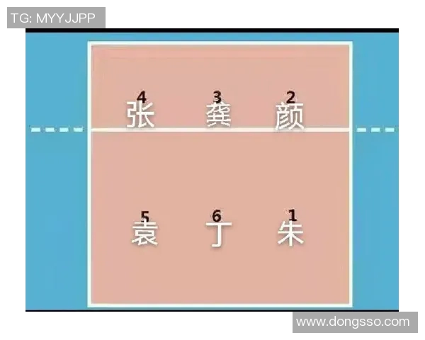 武汉排球队战术解析：聚焦排球技术与团队协作的完美结合