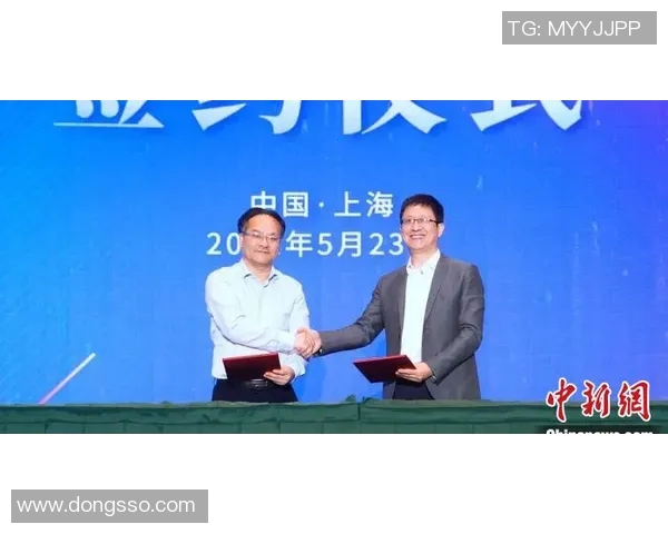 街舞战术解析：上海街舞队如何构建高效进攻体系与战术配合